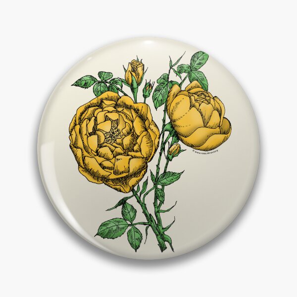 Item preview, Yellow Cupped Rose Bloom Full 26-40 Petals In 3+ Rows designed and sold by Rachael Taylor.