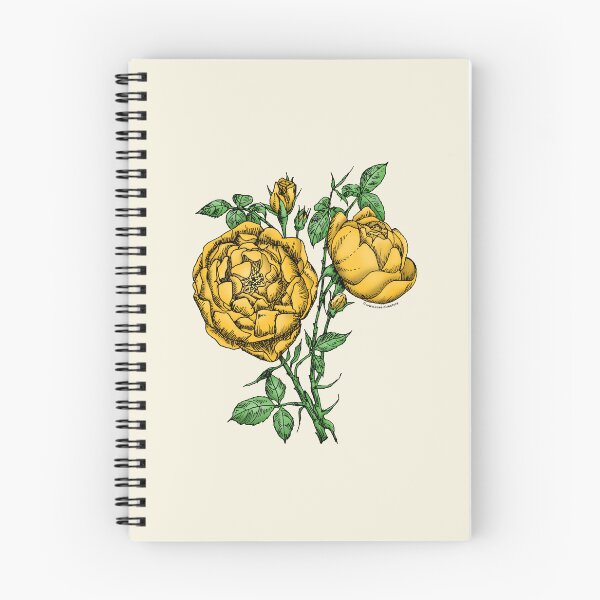 Item preview, Yellow Cupped Rose Bloom Full 26-40 Petals In 3+ Rows designed and sold by Rachael Taylor.
