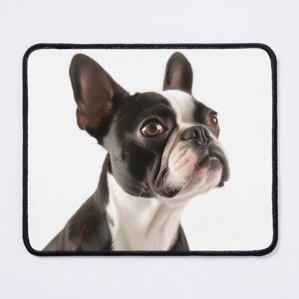 Item preview, Boston Terrier designed and sold by HookedOnDogz.