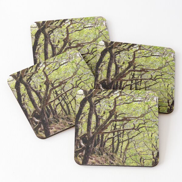 Item preview, woodland walk designed and sold by KathleenDawson.
