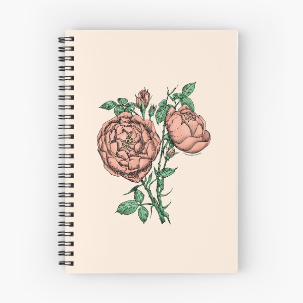 Item preview, Apricot Cupped Rose Bloom Full 26-40 Petals In 3+ Rows designed and sold by Rachael Taylor.
