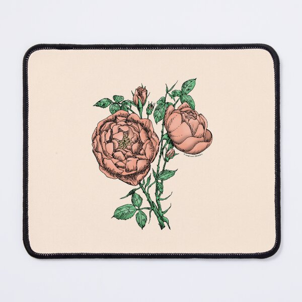 Item preview, Apricot Cupped Rose Bloom Full 26-40 Petals In 3+ Rows designed and sold by Rachael Taylor.