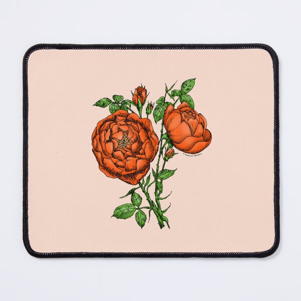 Item preview, Orange Cupped Rose Bloom Full 26-40 Petals In 3+ Rows designed and sold by Rachael Taylor.