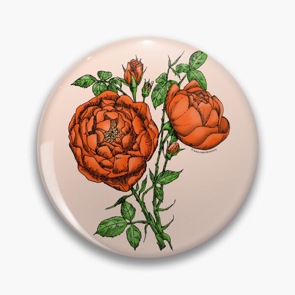 Item preview, Orange Cupped Rose Bloom Full 26-40 Petals In 3+ Rows designed and sold by Rachael Taylor.