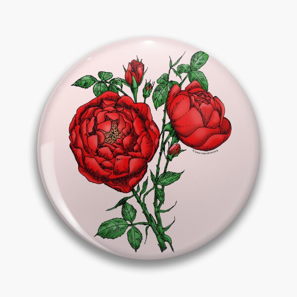 Item preview, Bright Red Cupped Rose Bloom Full 26-40 Petals In 3+ Rows designed and sold by Rachael Taylor.