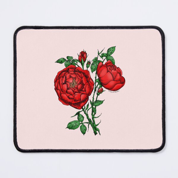 Item preview, Bright Red Cupped Rose Bloom Full 26-40 Petals In 3+ Rows designed and sold by Rachael Taylor.