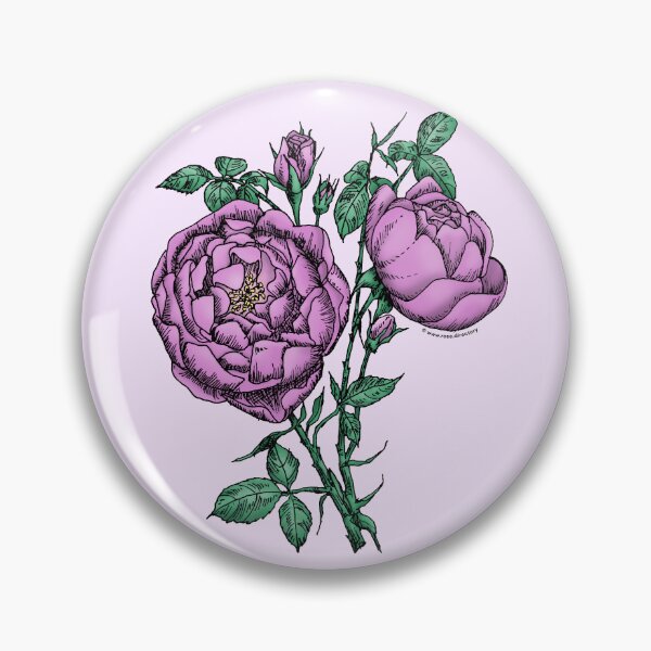 Item preview, Purple Cupped Rose Bloom Full 26-40 Petals In 3+ Rows designed and sold by Rachael Taylor.