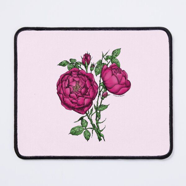 Item preview, Deep Pink Cupped Rose Bloom Full 26-40 Petals In 3+ Rows designed and sold by Rachael Taylor.