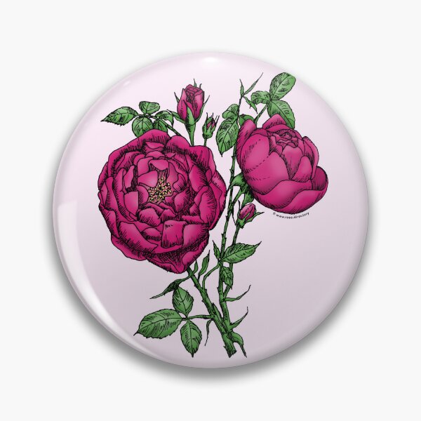 Item preview, Deep Pink Cupped Rose Bloom Full 26-40 Petals In 3+ Rows designed and sold by Rachael Taylor.