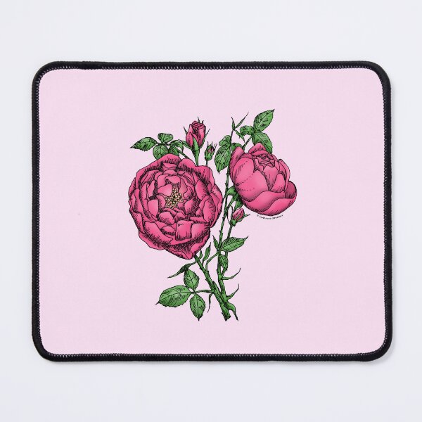 Item preview, Mid Pink Cupped Rose Bloom Full 26-40 Petals In 3+ Rows designed and sold by Rachael Taylor.