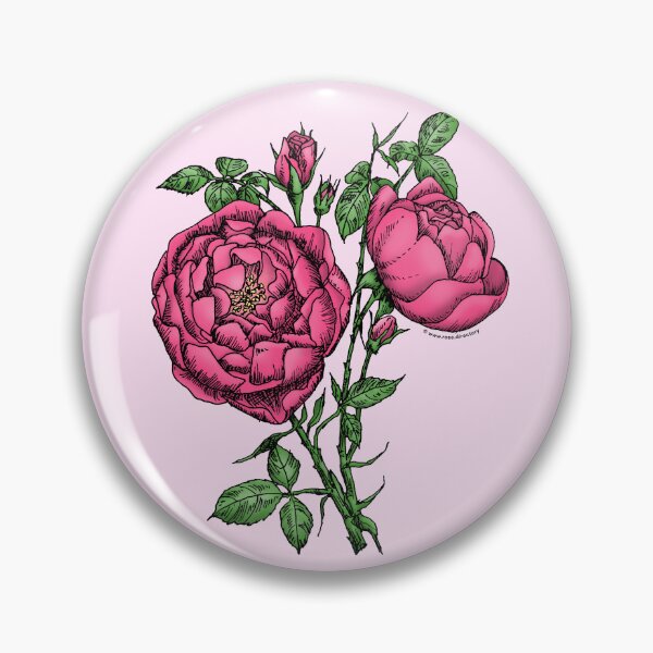 Item preview, Mid Pink Cupped Rose Bloom Full 26-40 Petals In 3+ Rows designed and sold by Rachael Taylor.