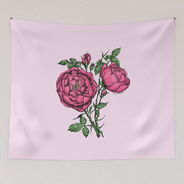 Item preview, Mid Pink Cupped Rose Bloom Full 26-40 Petals In 3+ Rows designed and sold by Rachael Taylor.