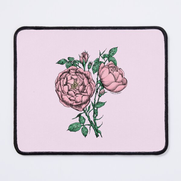 Item preview, Light Pink Cupped Rose Bloom Full 26-40 Petals In 3+ Rows designed and sold by Rachael Taylor.