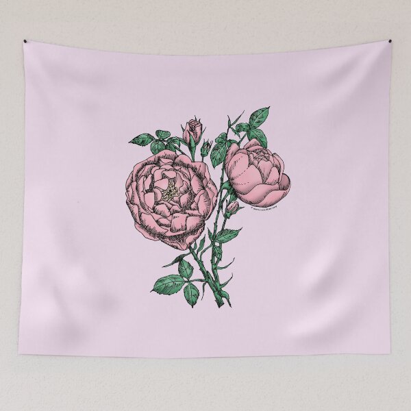 Item preview, Light Pink Cupped Rose Bloom Full 26-40 Petals In 3+ Rows designed and sold by Rachael Taylor.