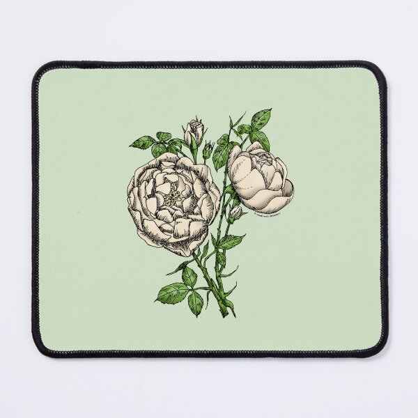 Item preview, Cream Cupped Rose Bloom Full 26-40 Petals In 3+ Rows designed and sold by Rachael Taylor.
