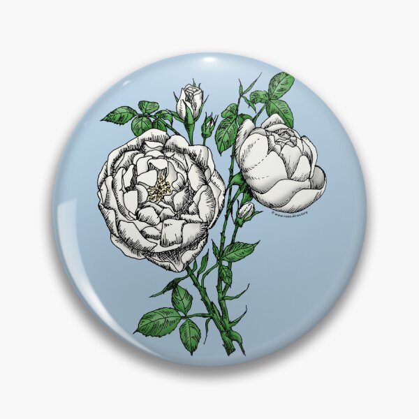 Item preview, White Cupped Rose Bloom Full 26-40 Petals In 3+ Rows designed and sold by Rachael Taylor.