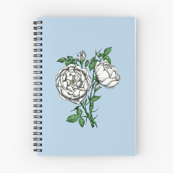 Item preview, White Cupped Rose Bloom Full 26-40 Petals In 3+ Rows designed and sold by Rachael Taylor.