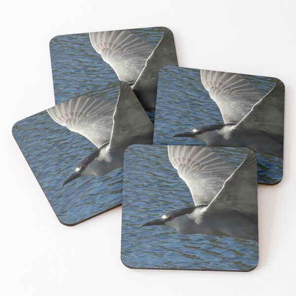 Item preview, Black Crown Night Heron 1 designed and sold by Jeffrey Mask.