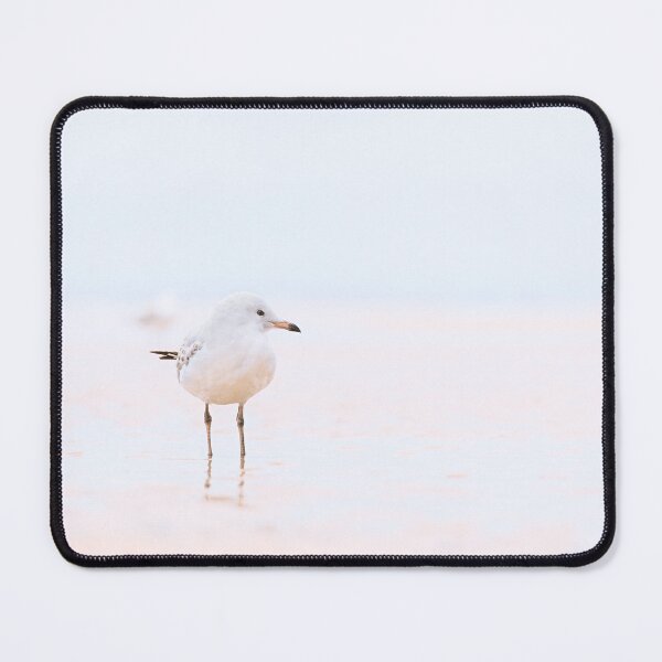 Item preview, Seagull, Cowes, Phillip Island, Victoria designed and sold by Liza Clements Photographic.