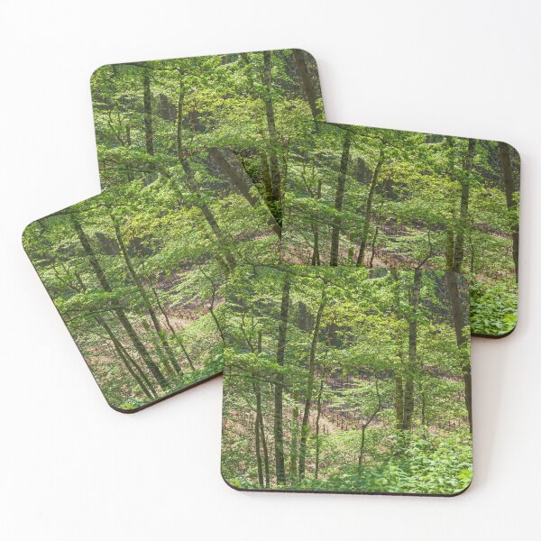 Item preview, Forest, Dammer Berge, Damme, Lower Saxony, Germany designed and sold by Torsten  Krüger.