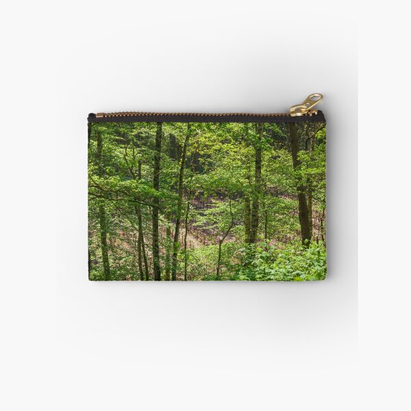 Item preview, Forest, Dammer Berge, Damme, Lower Saxony, Germany designed and sold by Torsten  Krüger.