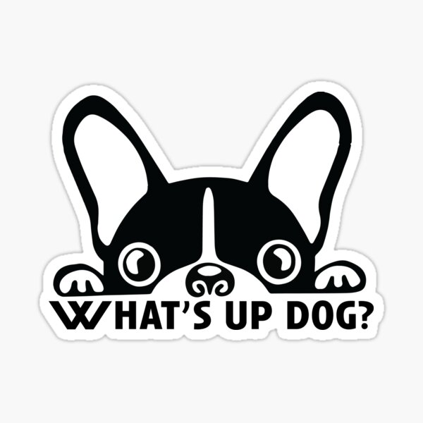 "What's up Dog " Sticker for Sale by torrijost Redbubble
