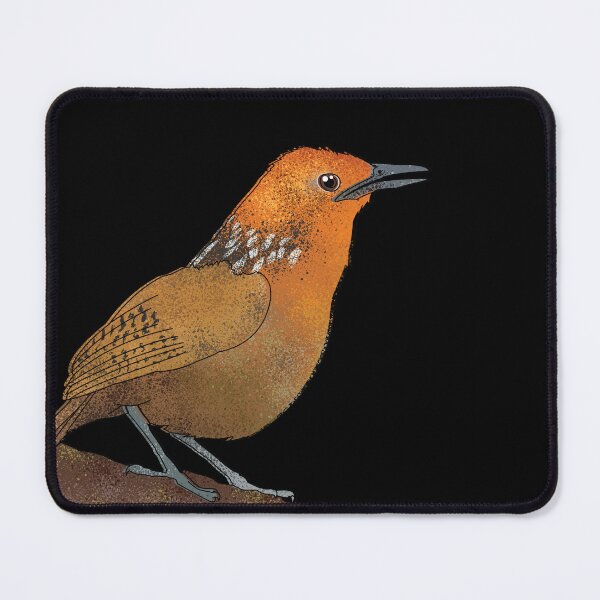 Item preview, Musician wren designed and sold by marivin.