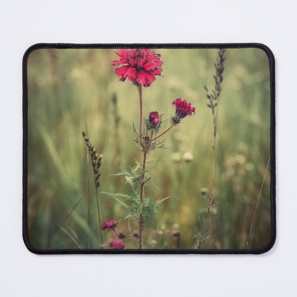 Item preview, Dreamlike Whimsy in Rustic Impressionism, Lone Red Flower in Field, Textured Nature Photography, Home Decor, Wall Art designed and sold by stateofhuman.
