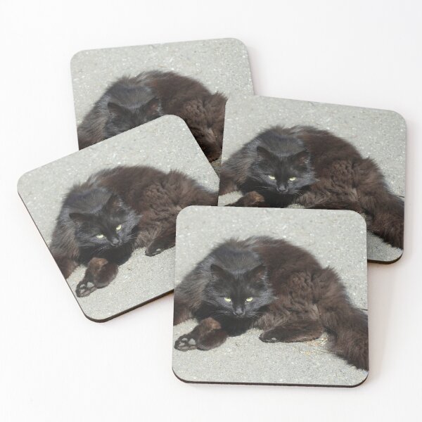 Item preview, Portrait of cute street black cat designed and sold by olena2552.