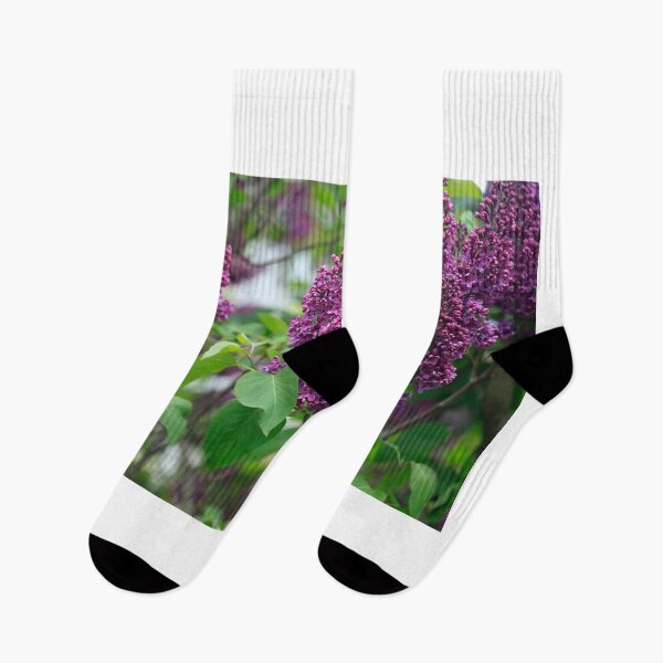 Item preview, Purple lilac in spring garden designed and sold by olena2552.