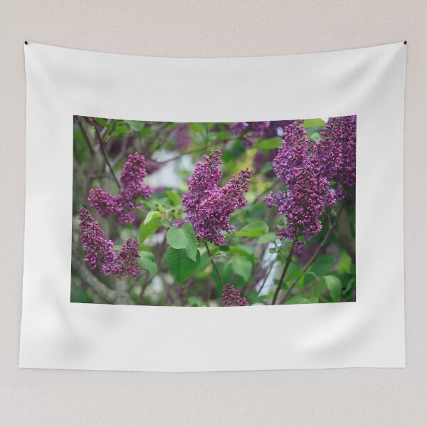 Item preview, Purple lilac in spring garden designed and sold by olena2552.