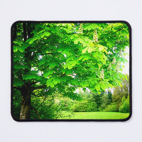 Item preview, Lush Chestnut Tree in May designed and sold by angel1.