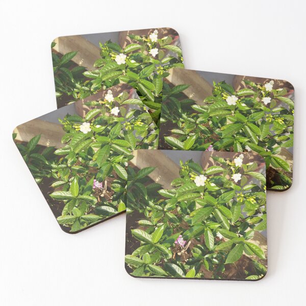 Item preview, Vuélvete verde con plantas verdes con flores blancas designed and sold by anil77kiran84.