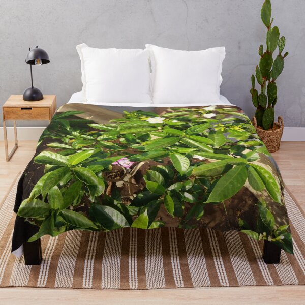 Item preview, Go green with green plants with white flowers designed and sold by anil77kiran84.