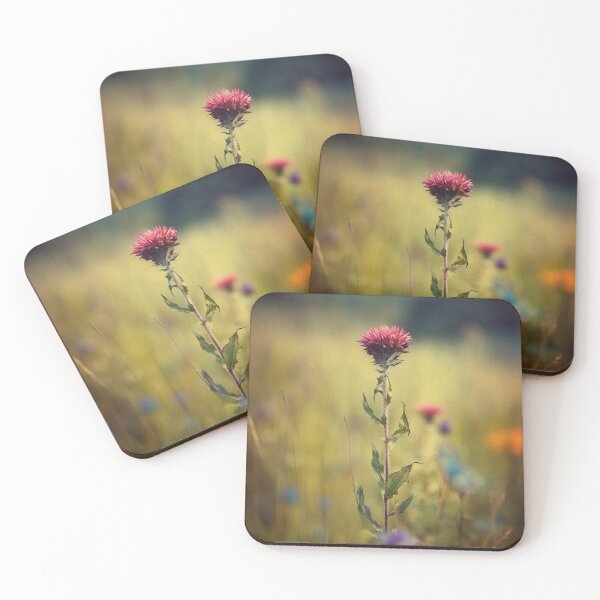 Item preview, Fine Art Photography, Rustic Thistle in Wildflower Meadow, Naturecore, Photo-Realistic Landscapes, Canon AF35M, Canonet QL17 GIII, Wall Art, Home Decor designed and sold by stateofhuman.