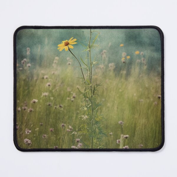 Item preview, "Photorealistic Wildlife Art, Vintage Daisy Duo in Field, Rustic Americana, Staged Photography, Teal & Yellow, Misty Atmosphere, Wall Art, Home Decor " designed and sold by stateofhuman.