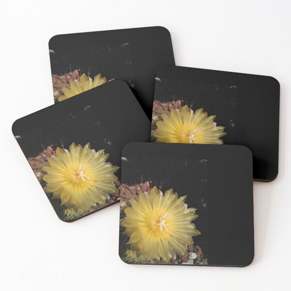 Item preview, Magical cactus flower designed and sold by PrettyAround.