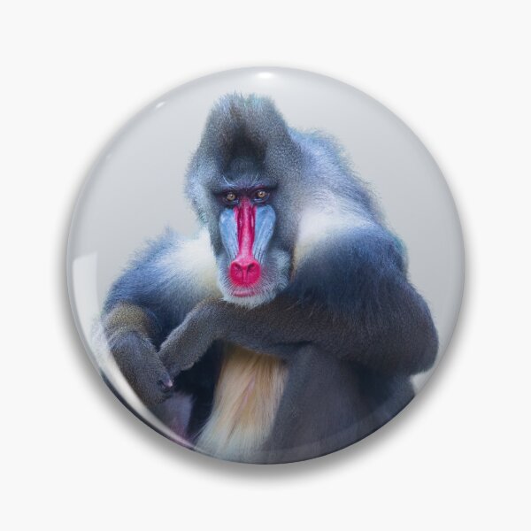 Item preview, Mandrill Monkey designed and sold by RainbowSpinkle.