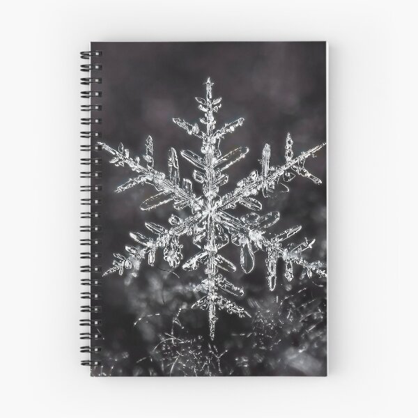 Item preview, January snowflake #7 designed and sold by Roger Porter Photography.