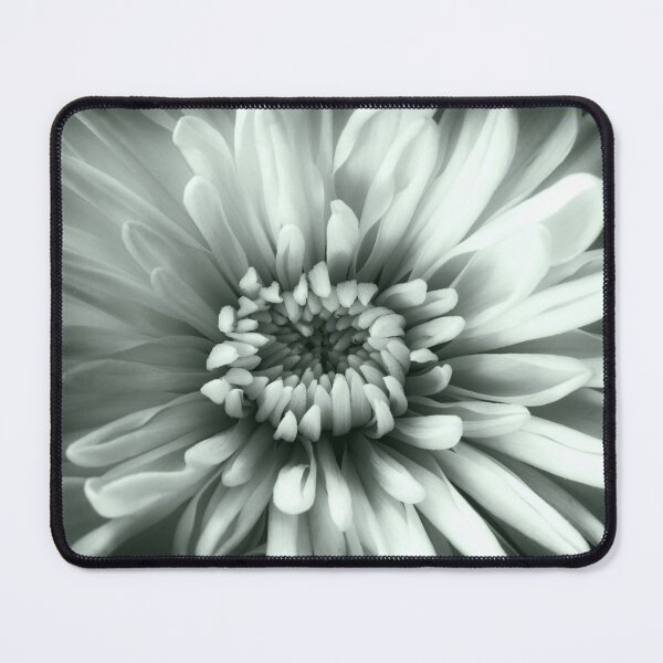 Item preview, Chrysanthemum Green Tone designed and sold by Tanya C Smith.