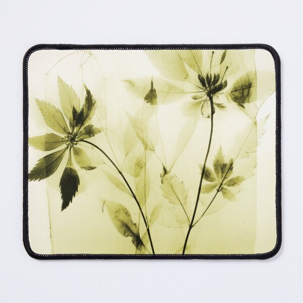 Item preview, Floral photogram colour designed and sold by EmilyDayDreams.