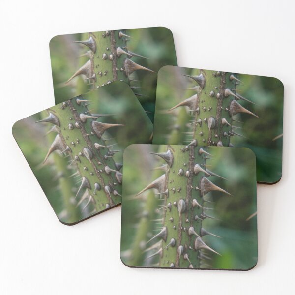 Item preview, Thorns and Roses Photography designed and sold by TriciaPhotos.