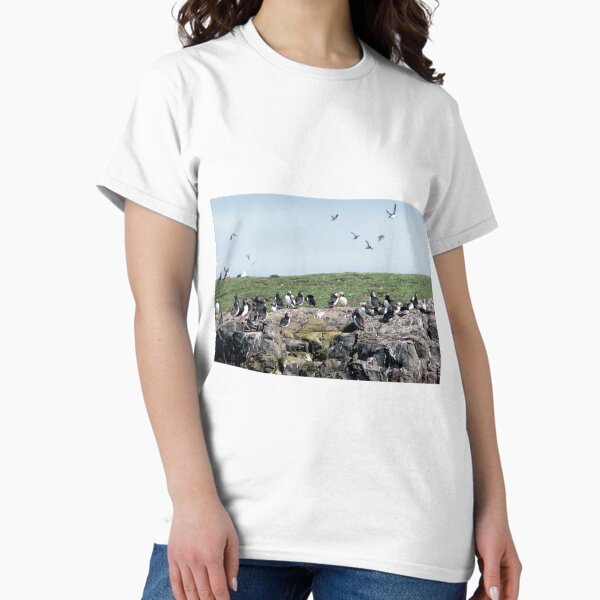 Item preview, Puffins colony on the Farne islands, Northumberland, UK designed and sold by Richard Flint.