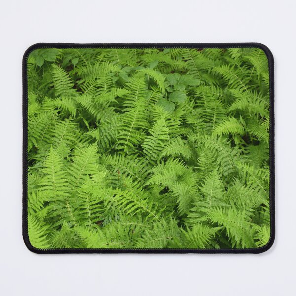 Item preview, ferns in spring designed and sold by Claude Laprise.