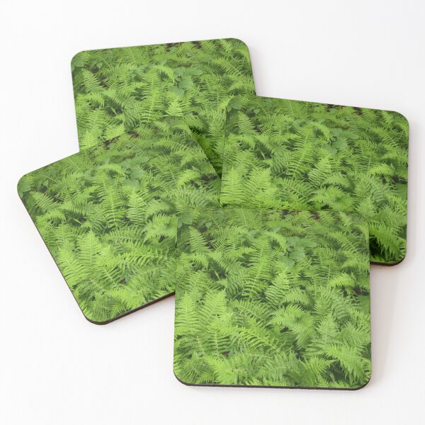 Item preview, ferns in spring designed and sold by Claude Laprise.