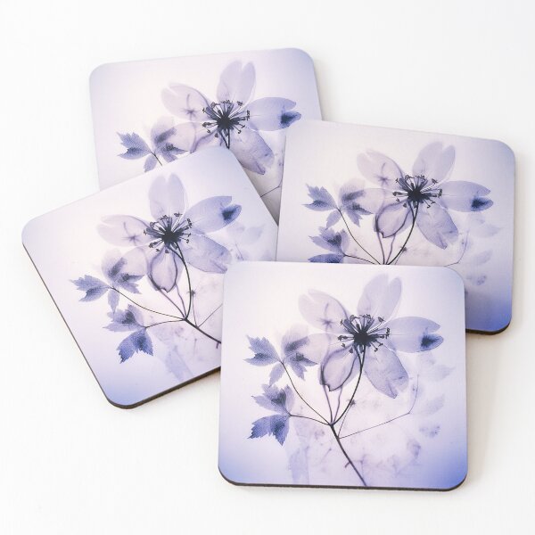 Item preview, Floral photogram colour designed and sold by EmilyDayDreams.