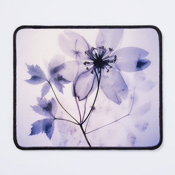 Item preview, Floral photogram colour designed and sold by EmilyDayDreams.