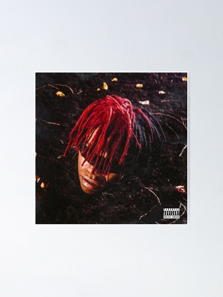 "DC the Don FUNERAL Album Cover" Poster for Sale by downbad Redbubble