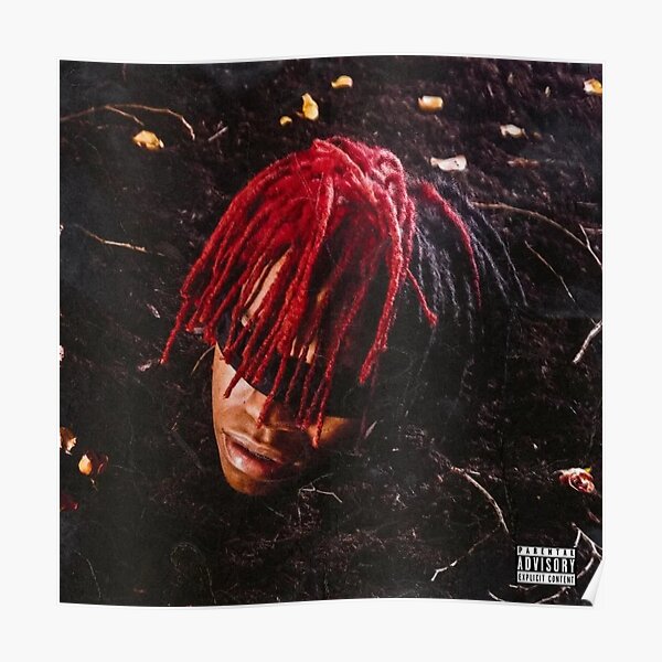 "DC the Don FUNERAL Album Cover" Poster for Sale by downbad Redbubble