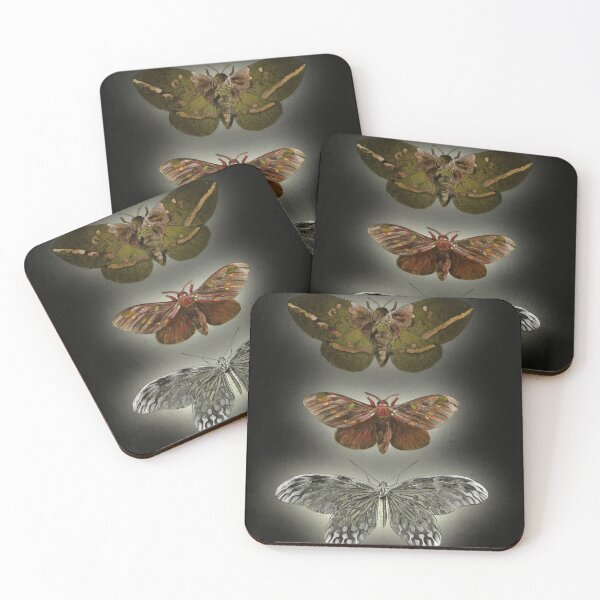 Item preview, Moths designed and sold by Brad Chambers.
